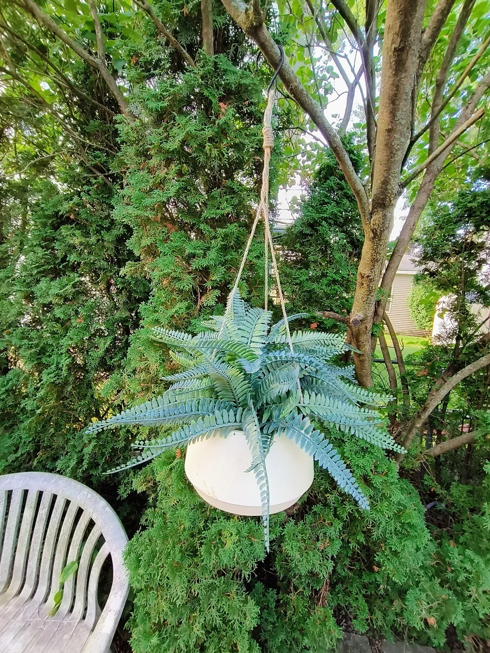 Hanging White Planter with Green Fern Accent 11 X 14 X 16 Artificial